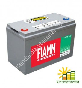 FIAMM ASB-100