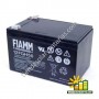 12 FGH 50 FIAMM 2