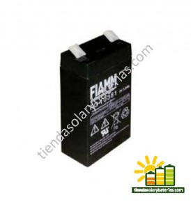 FG 10381 FIAMM 1