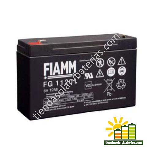 FG 11201 FIAMM 1