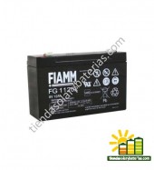 FG 11202 FIAMM 1