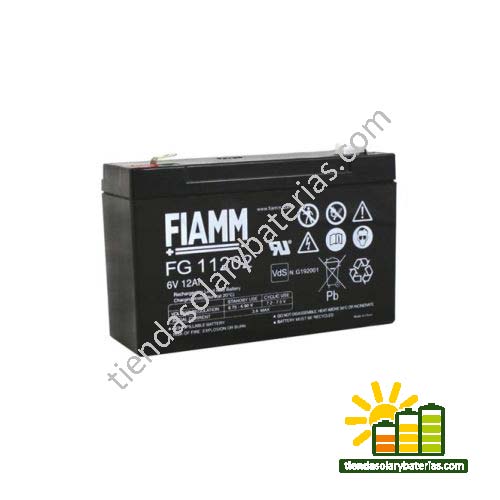FG 11202 FIAMM 1
