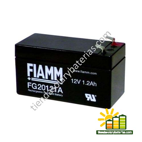 FG 20121 A FIAMM 1