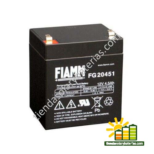 FG 20451 FIAMM 1