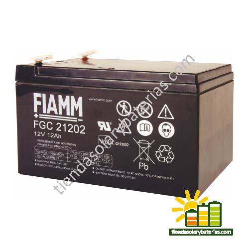 FGC 21202 FIAMM 1