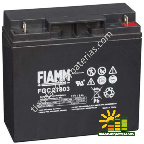 FGC 21803 FIAMM 1
