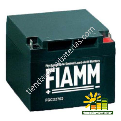 FGC 22703 FIAMM 1